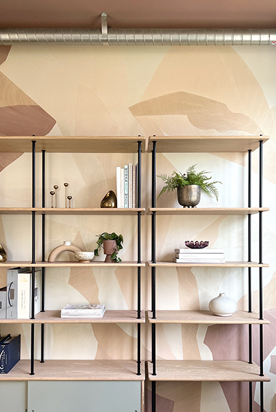 Sample library designed by Luxury interior designer San Francisco