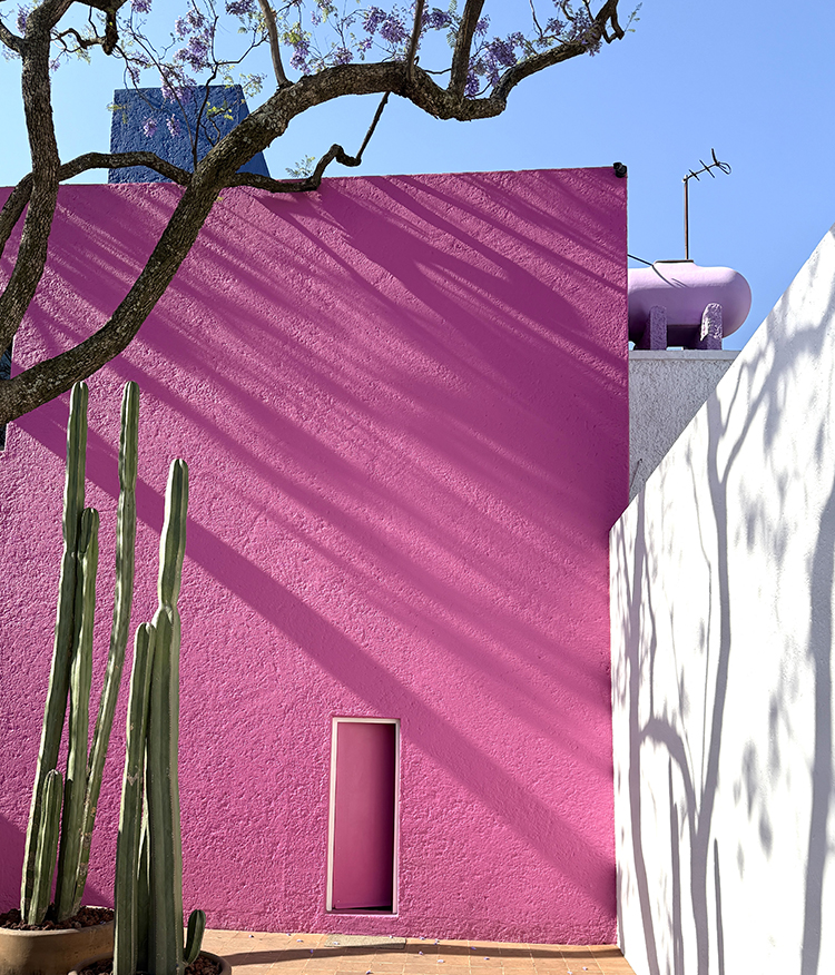 exterior pink walls of Luis barragán Casa Gilardi private tour